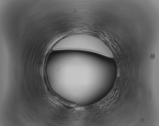 X0000096130052200801180838