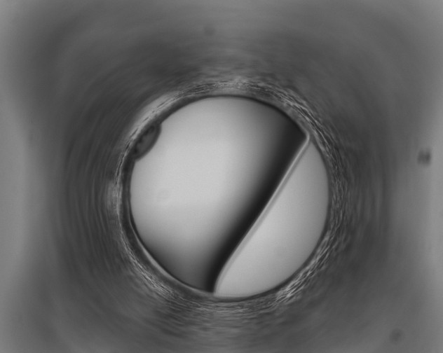 X0000096130054200801180838