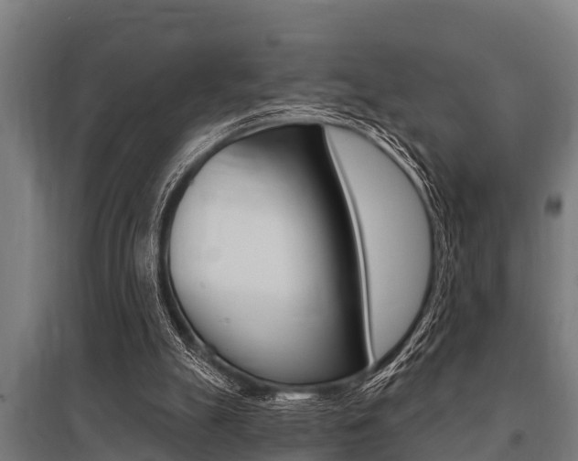 X0000096130055200801180838