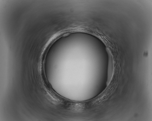 X0000096130056200801180838