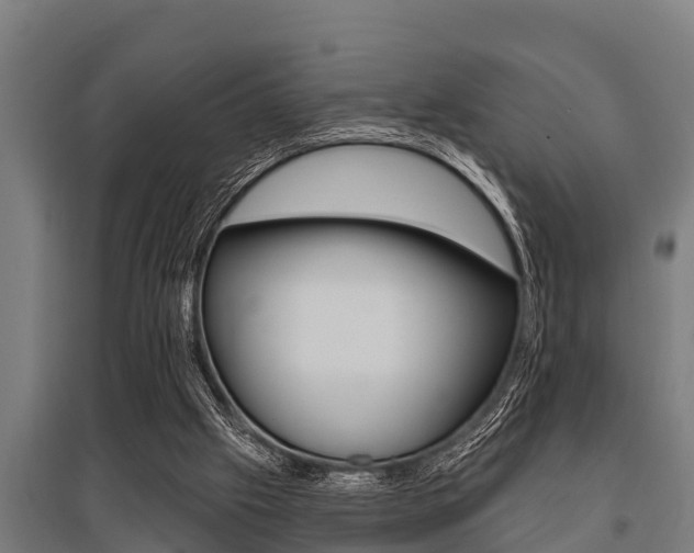 X0000096130057200801180838
