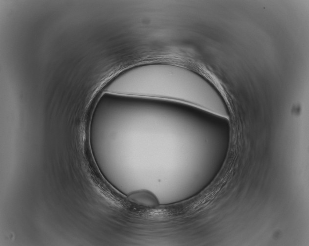X0000096130059200801180838