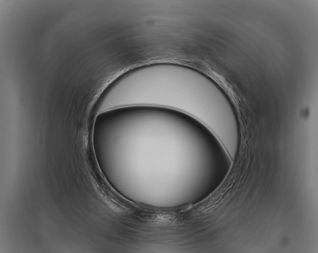 X0000096130060200801180838
