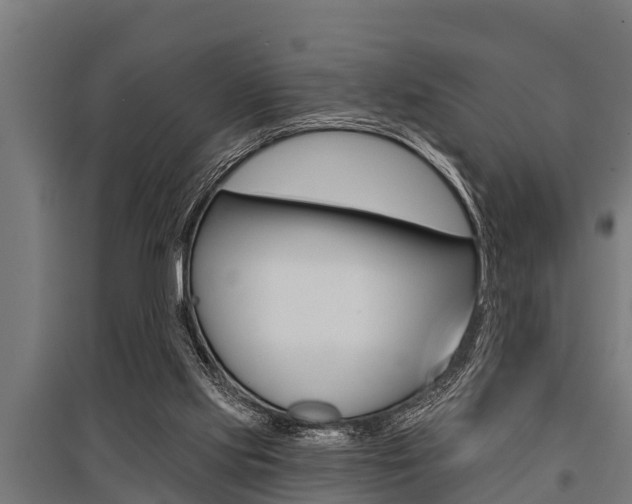 X0000096130061200801180838
