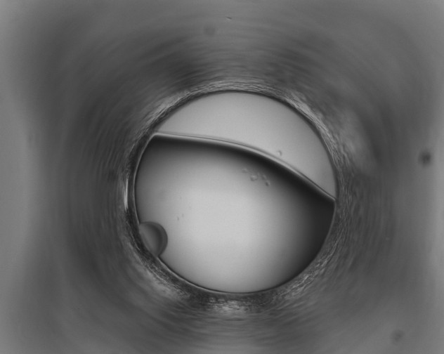 X0000096130062200801180838