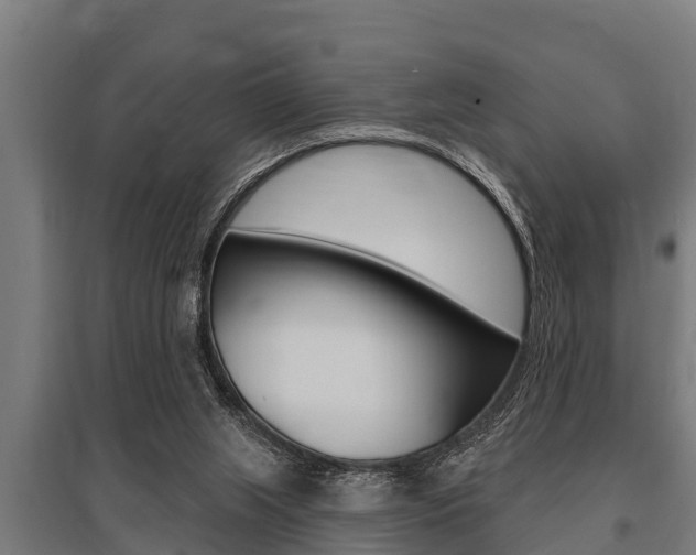 X0000096130063200801180838