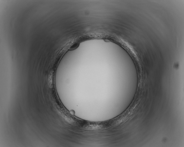 X0000096130065200801180838