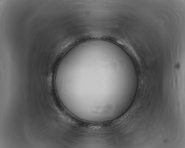 X0000096130066200801180838