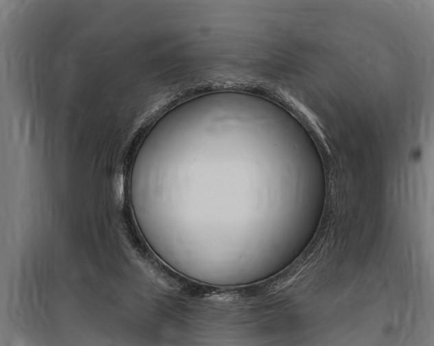 X0000096130067200801180838