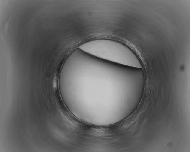 X0000096130069200801180838