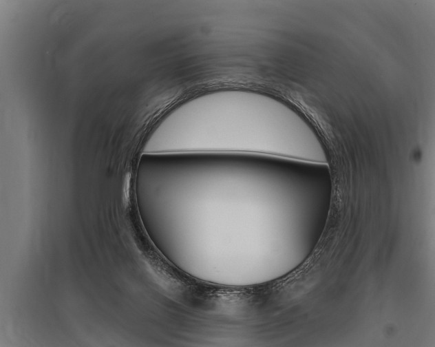 X0000096130070200801180838