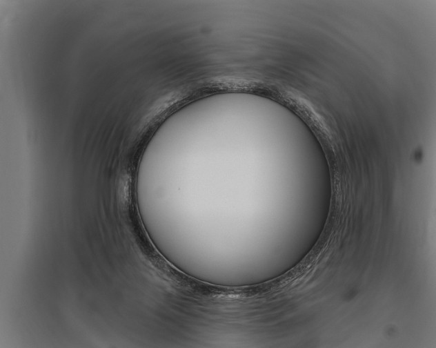 X0000096130071200801180838