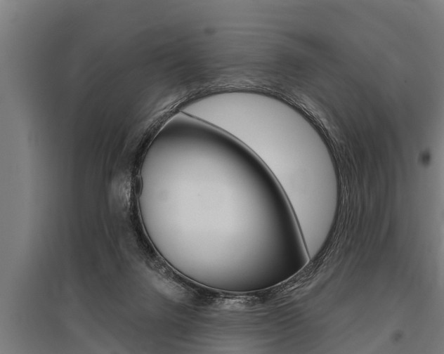 X0000096130072200801180838