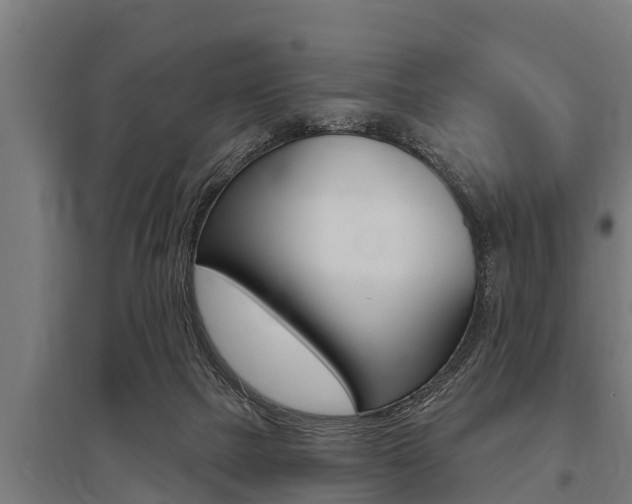 X0000096130073200801180838