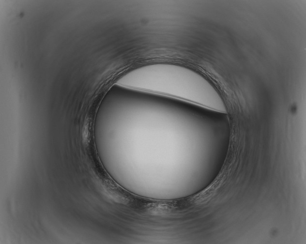 X0000096130074200801180838