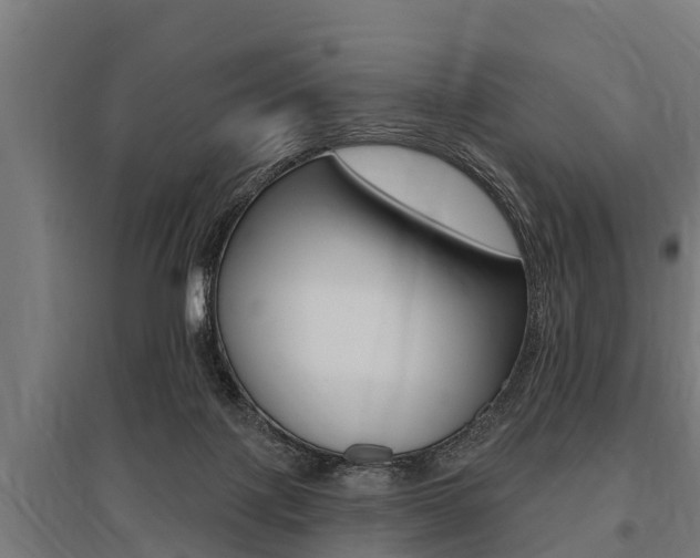 X0000096130075200801180839