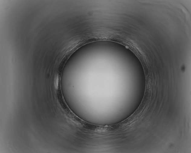 X0000096130076200801180839