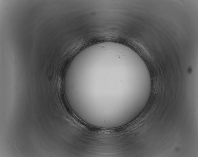 X0000096130077200801180839