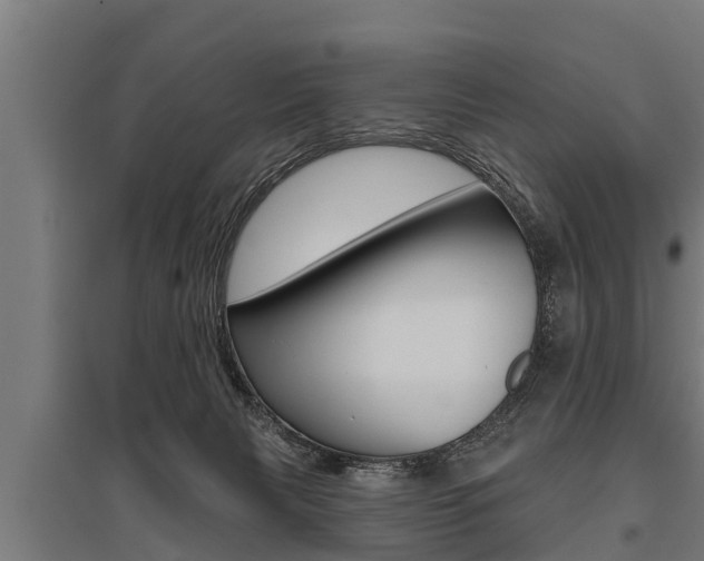 X0000096130079200801180839