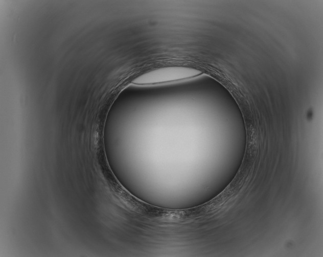 X0000096130080200801180839