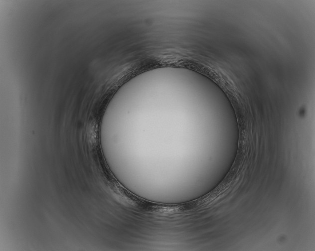 X0000096130081200801180839