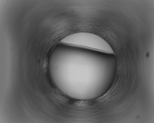 X0000096130082200801180839