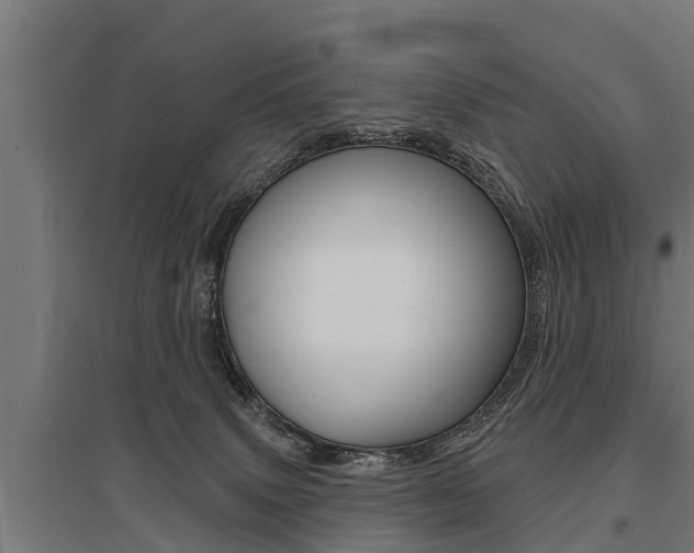 X0000096130083200801180839