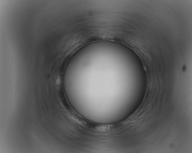 X0000096130084200801180839