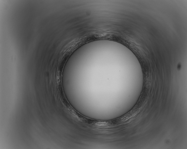 X0000096130085200801180839