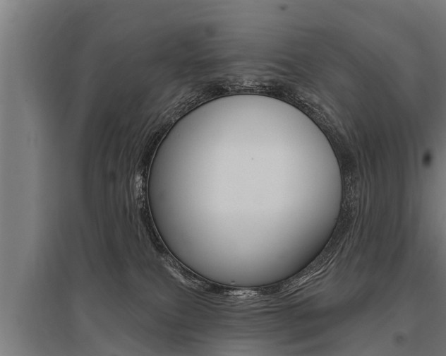 X0000096130087200801180839