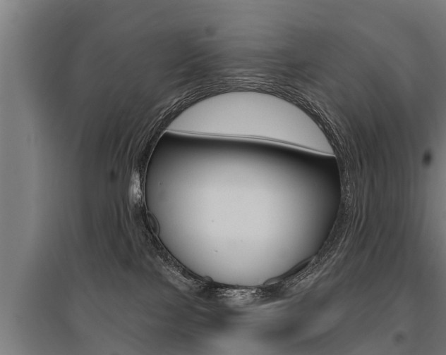 X0000096130089200801180839