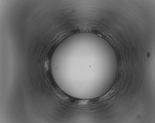 X0000096130090200801180839