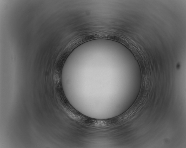 X0000096130091200801180839