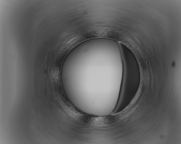 X0000096130092200801180839