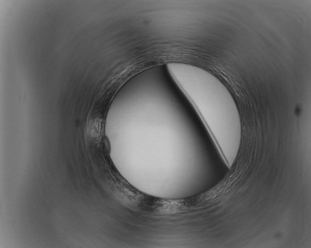 X0000096130093200801180839
