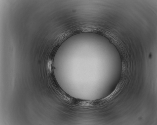 X0000096130094200801180839