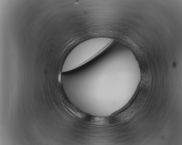 X0000096130095200801180839