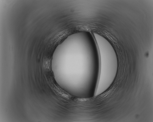 X0000096130096200801180839