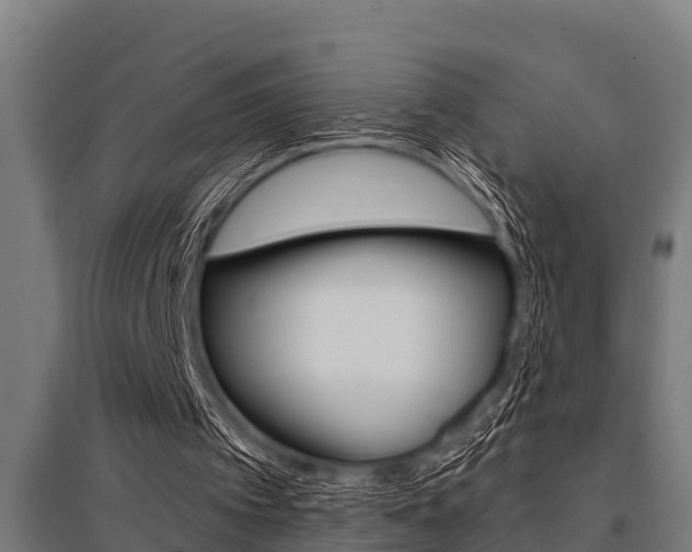 X0000096130097200801180838