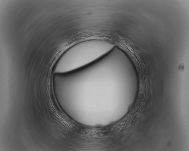 X0000096130098200801180838