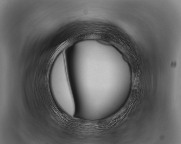 X0000096130099200801180838