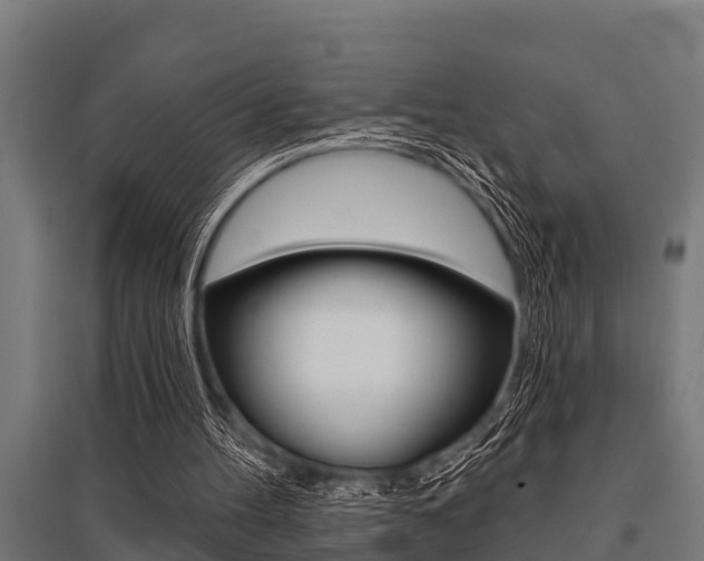 X0000096130100200801180838