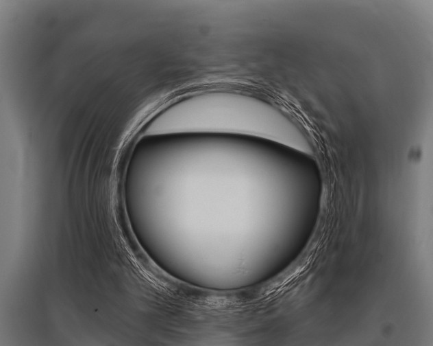 X0000096130101200801180838