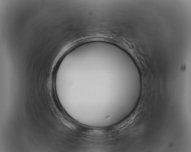 X0000096130102200801180838
