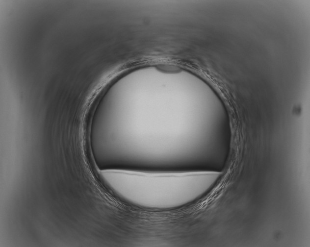 X0000096130103200801180838