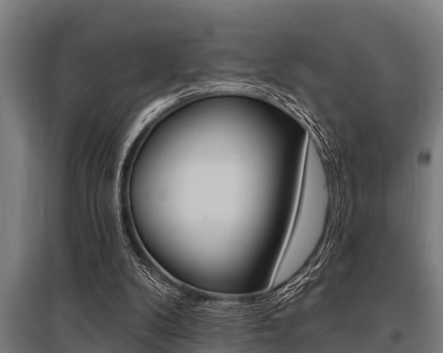 X0000096130104200801180838