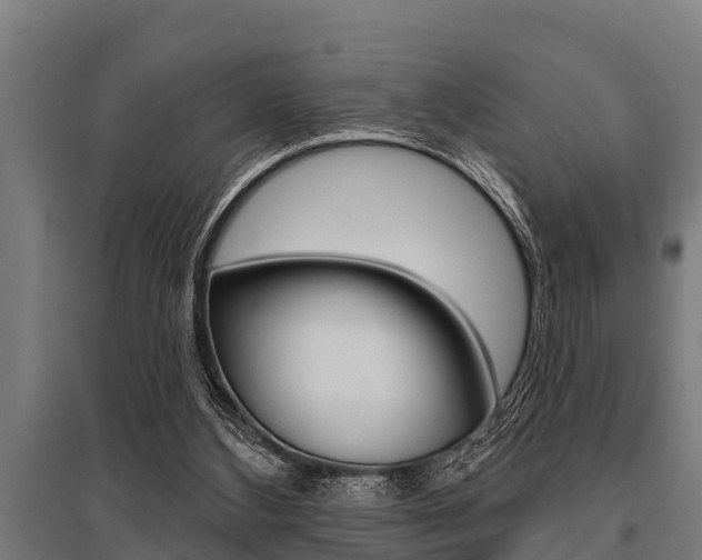 X0000096130108200801180838