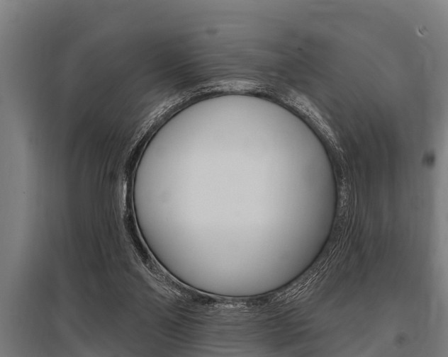 X0000096130110200801180838