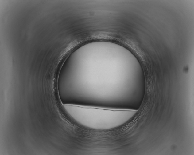 X0000096130111200801180838