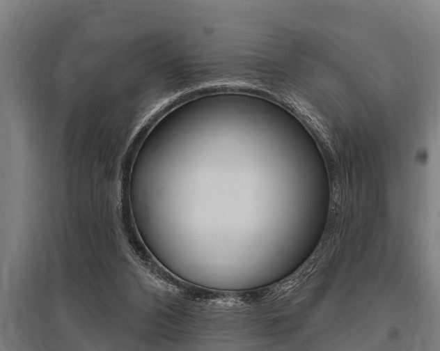 X0000096130112200801180838